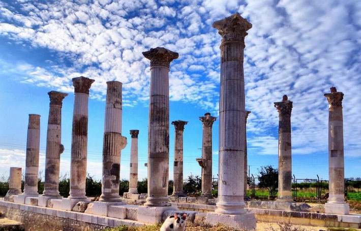 Soli — fotoğraf 4