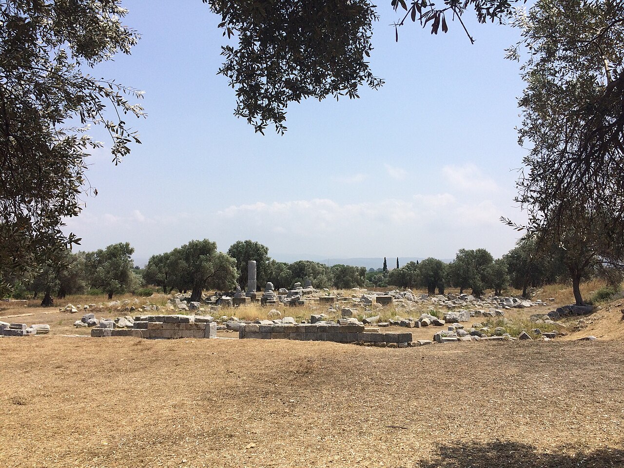 Teos — fotoğraf 4