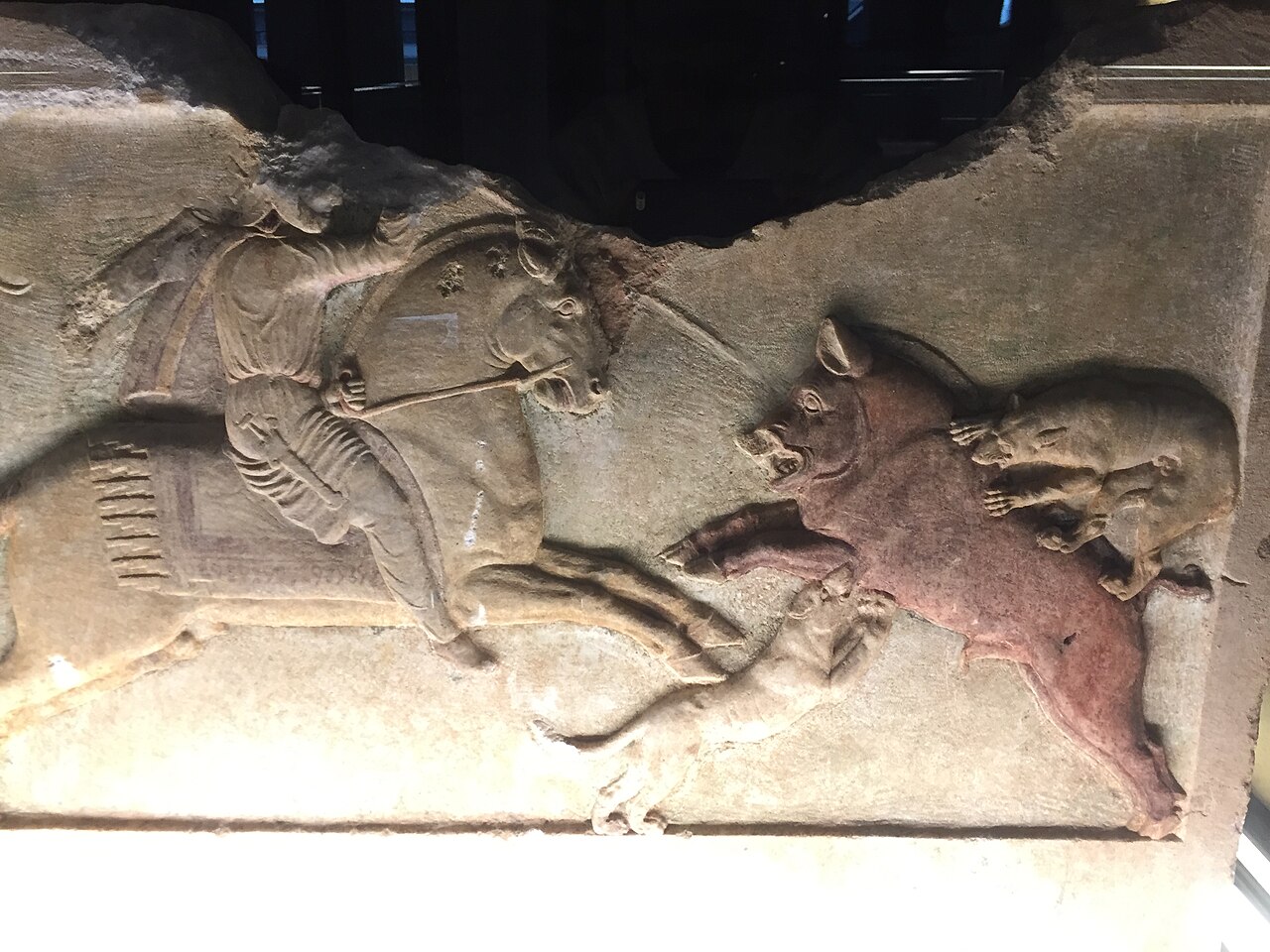 Troya Müzesi — fotoğraf 2