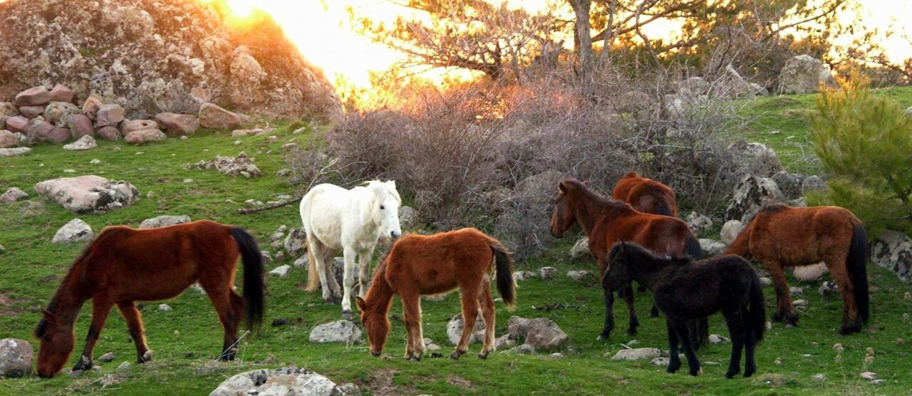 Yamanlar Dağı — fotoğraf 3