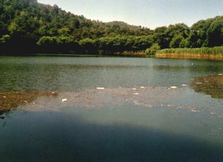 Yamanlar Dağı — fotoğraf 4