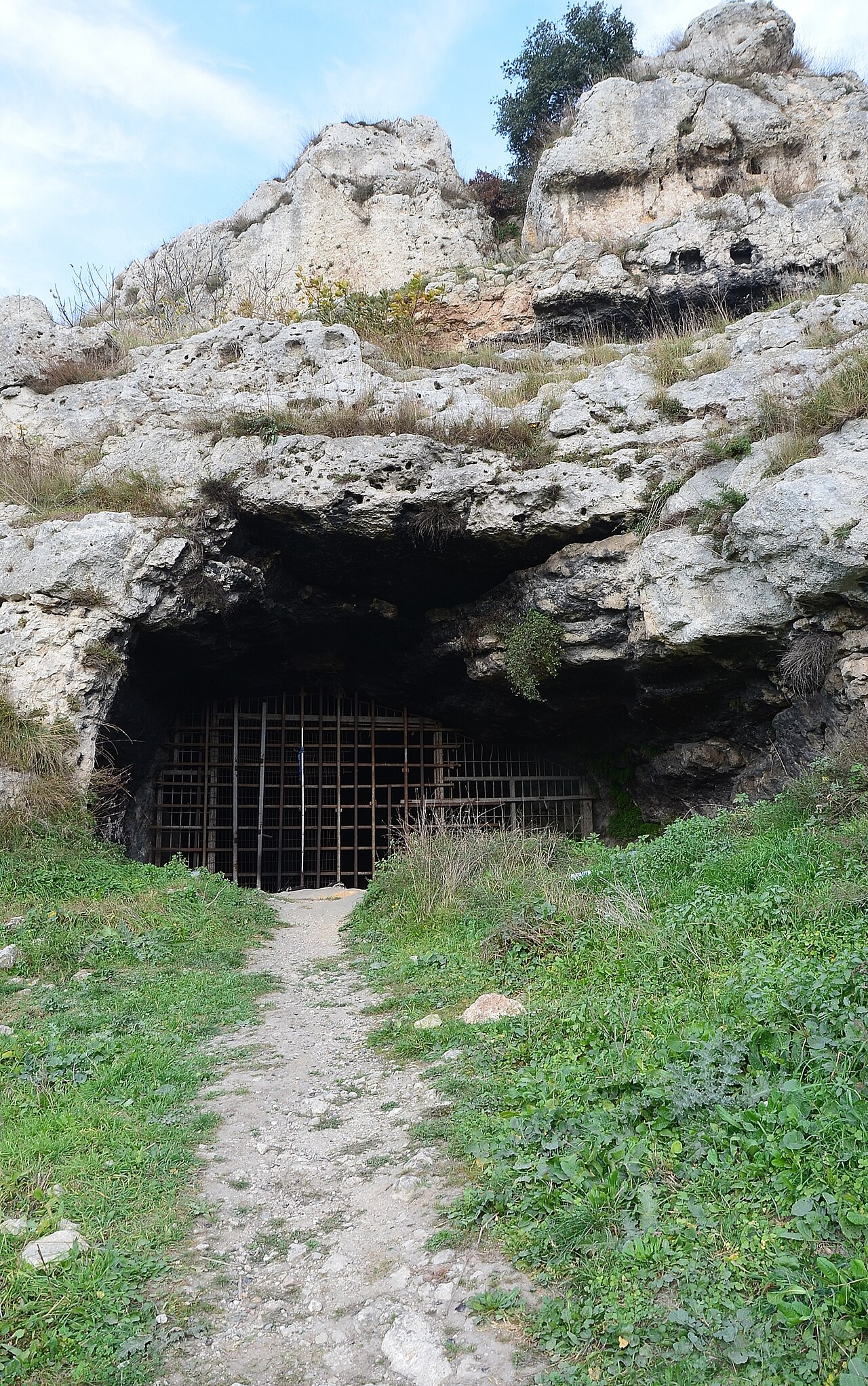 Yarımburgaz Mağarası — fotoğraf 2