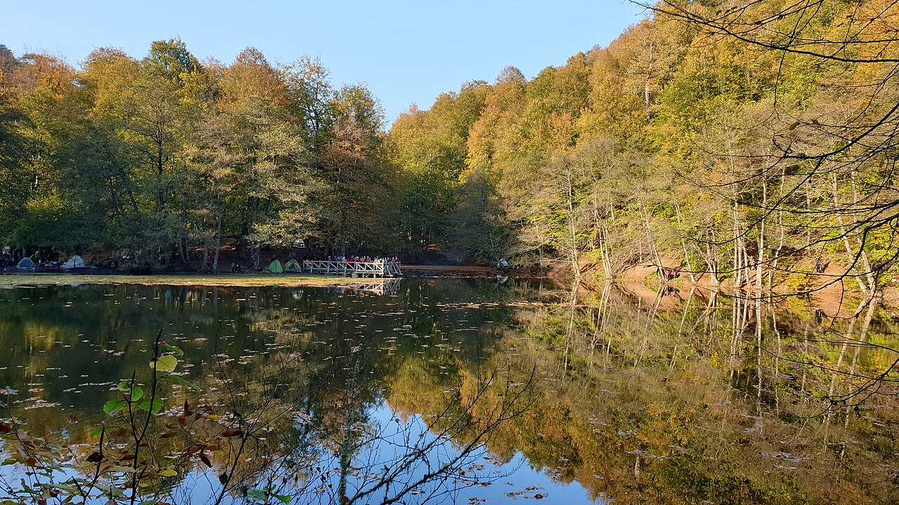 Yedigöller Millî Parkı — fotoğraf 2